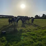 Casa vacanze A La Campagne Villers-Pol