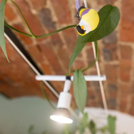 Holiday home A La Campagne *